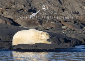 Natural World Safaris: Trip log (2024)