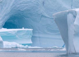 Iceberg graveyard (East Greenland)