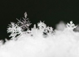 Snowflakes in Zurich (Switzerland)