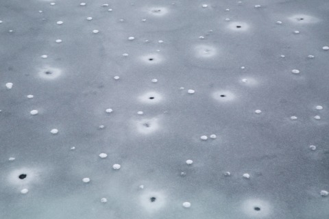 Sea ice (East Greenland)